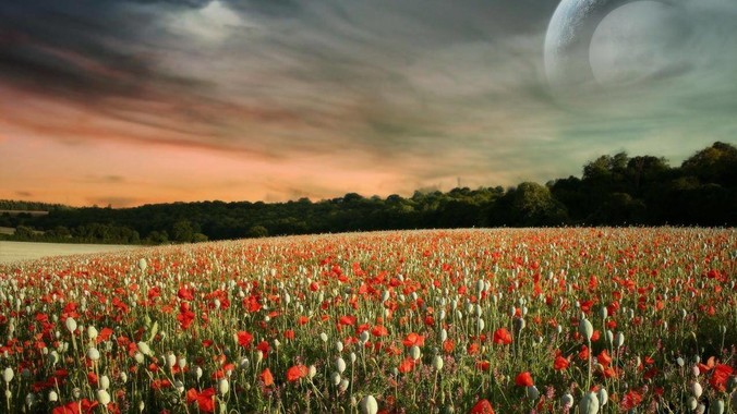 Linux 内核的系统有没有类似macOS 那样漂亮流畅的桌面环境的发行版本?